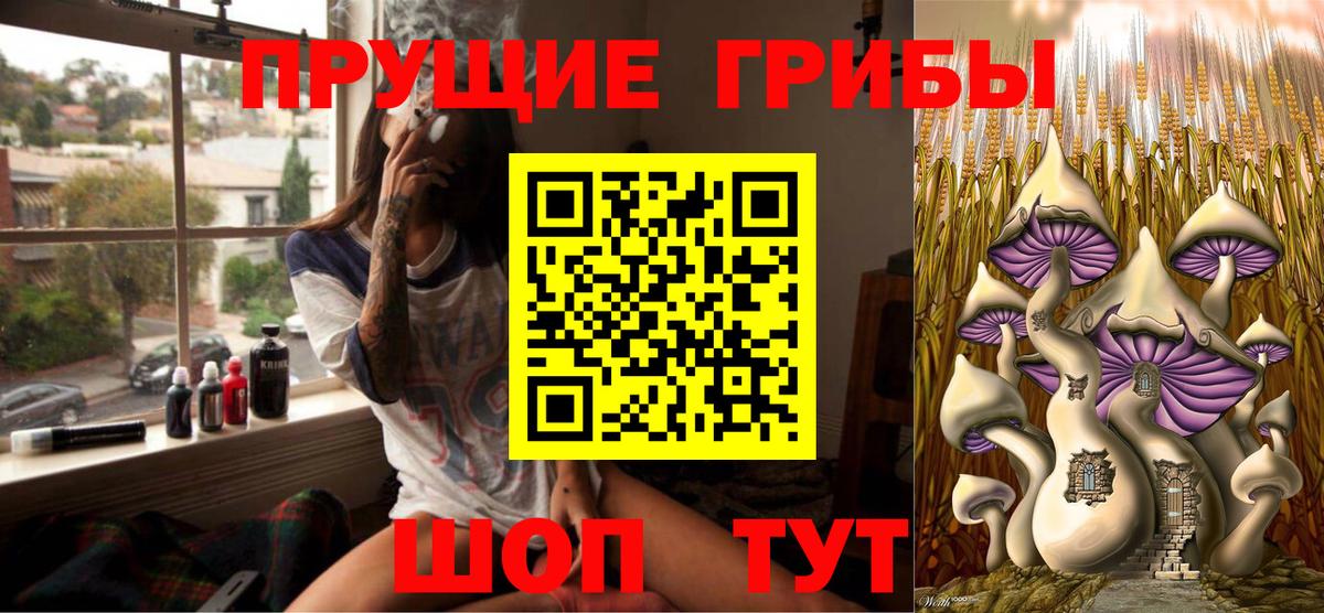 Псилоцибиновые грибы Psilocybe  купить   Ливны  Вход с VPN 